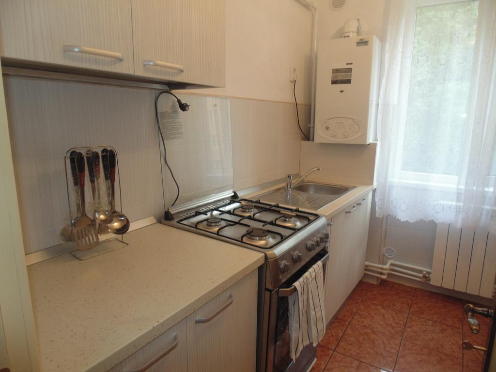 Lary Apartament Suceava Rom bilde